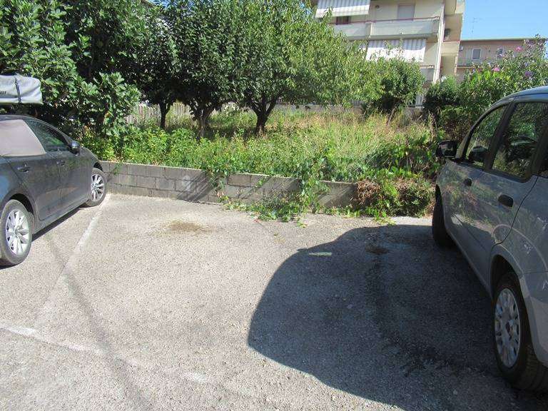  - foto 19