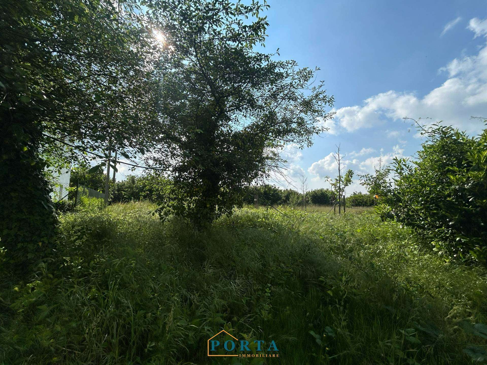  - foto 26