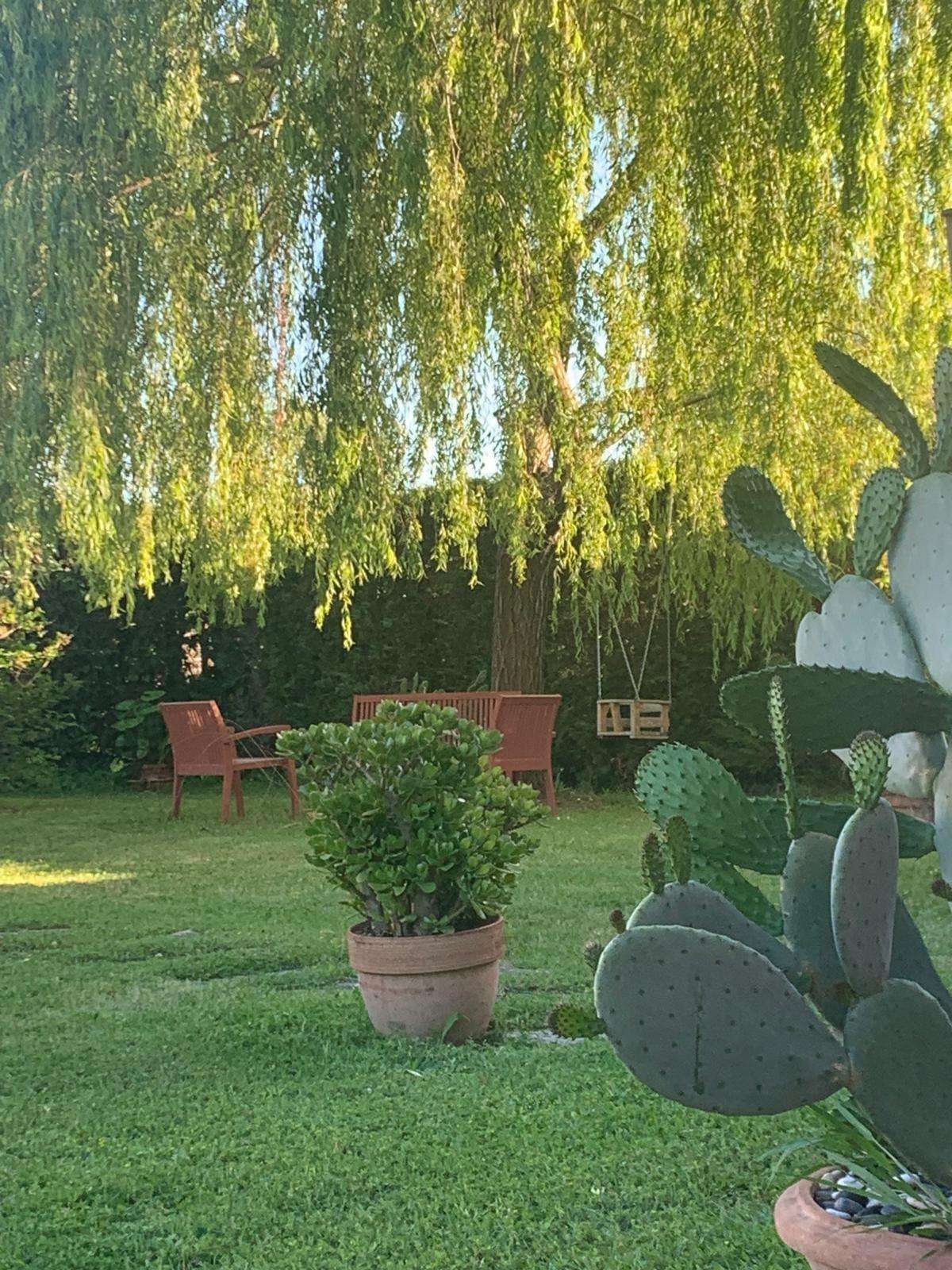  - foto 14
