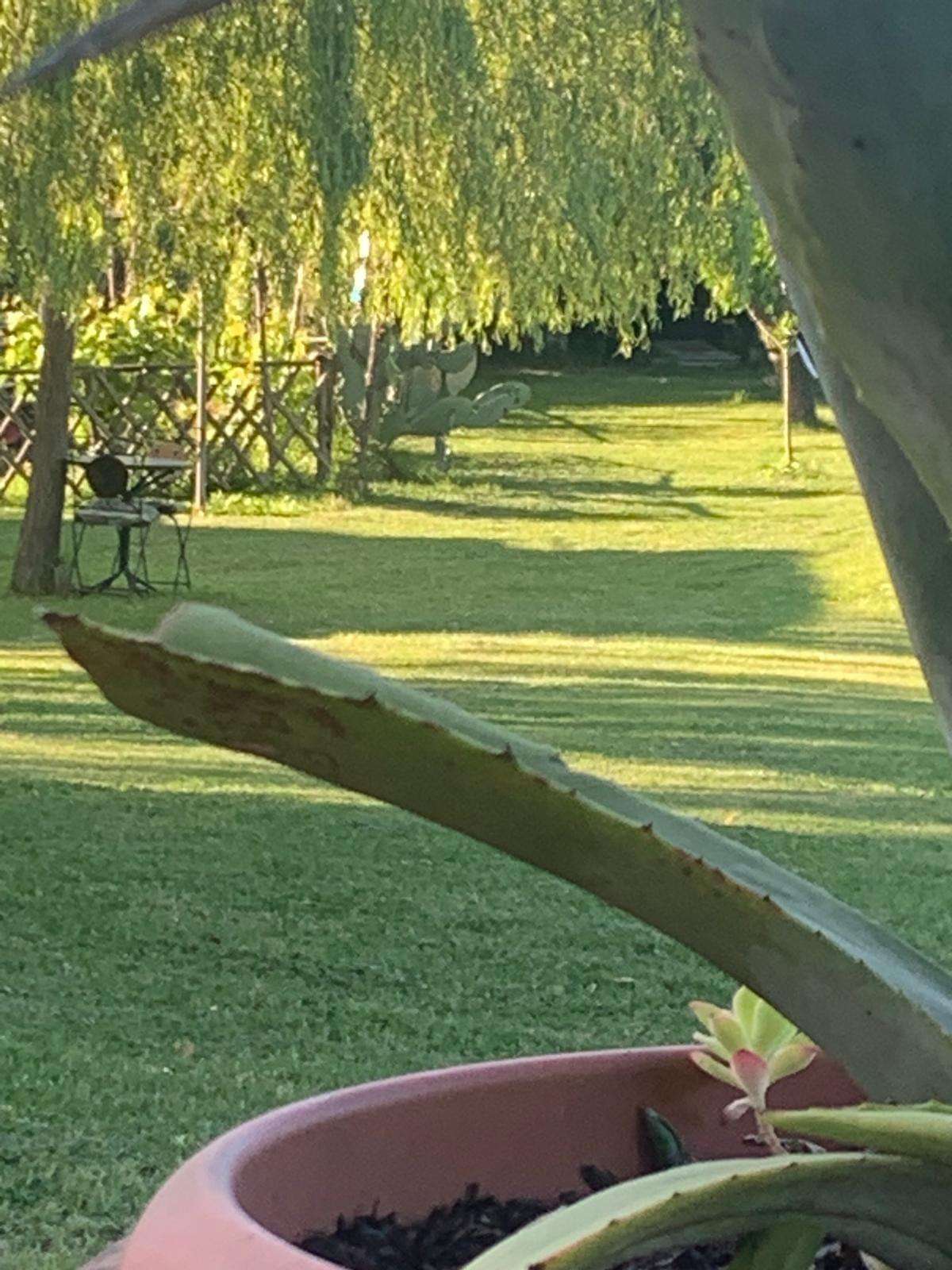  - foto 15