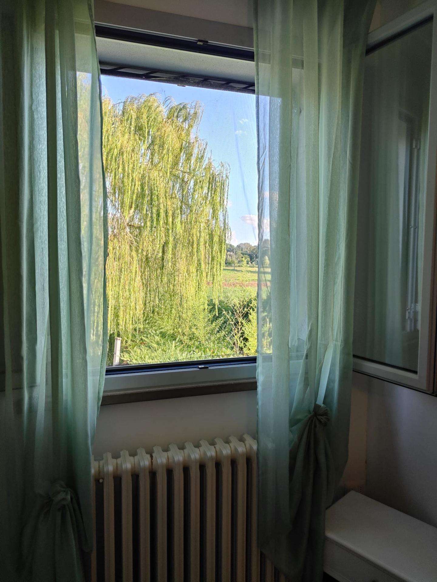  - foto 48