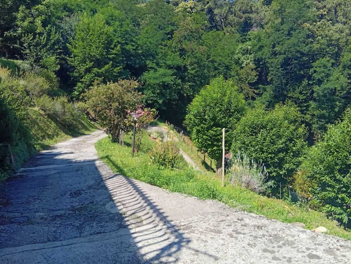  - foto 14