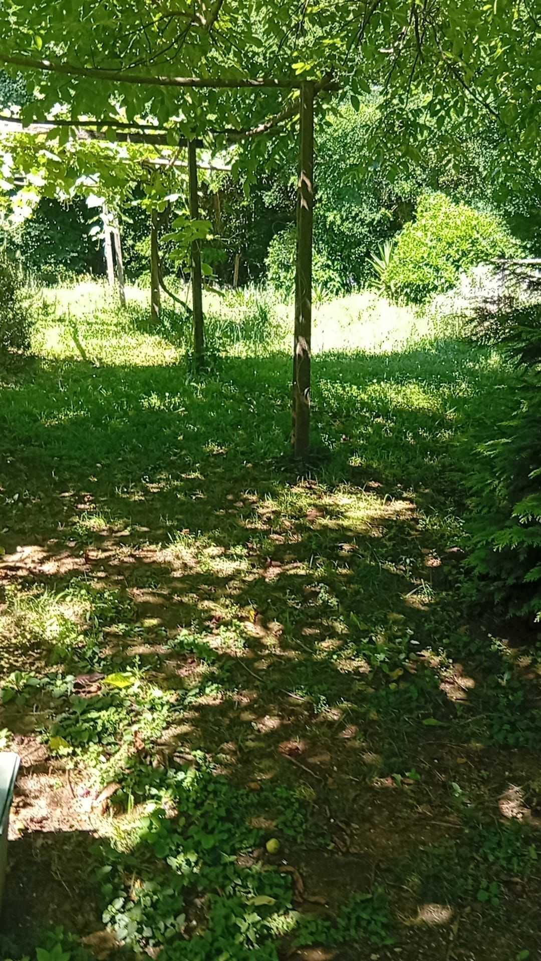  - foto 5
