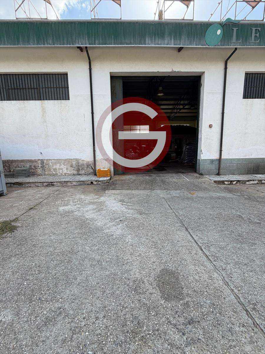  - foto 12