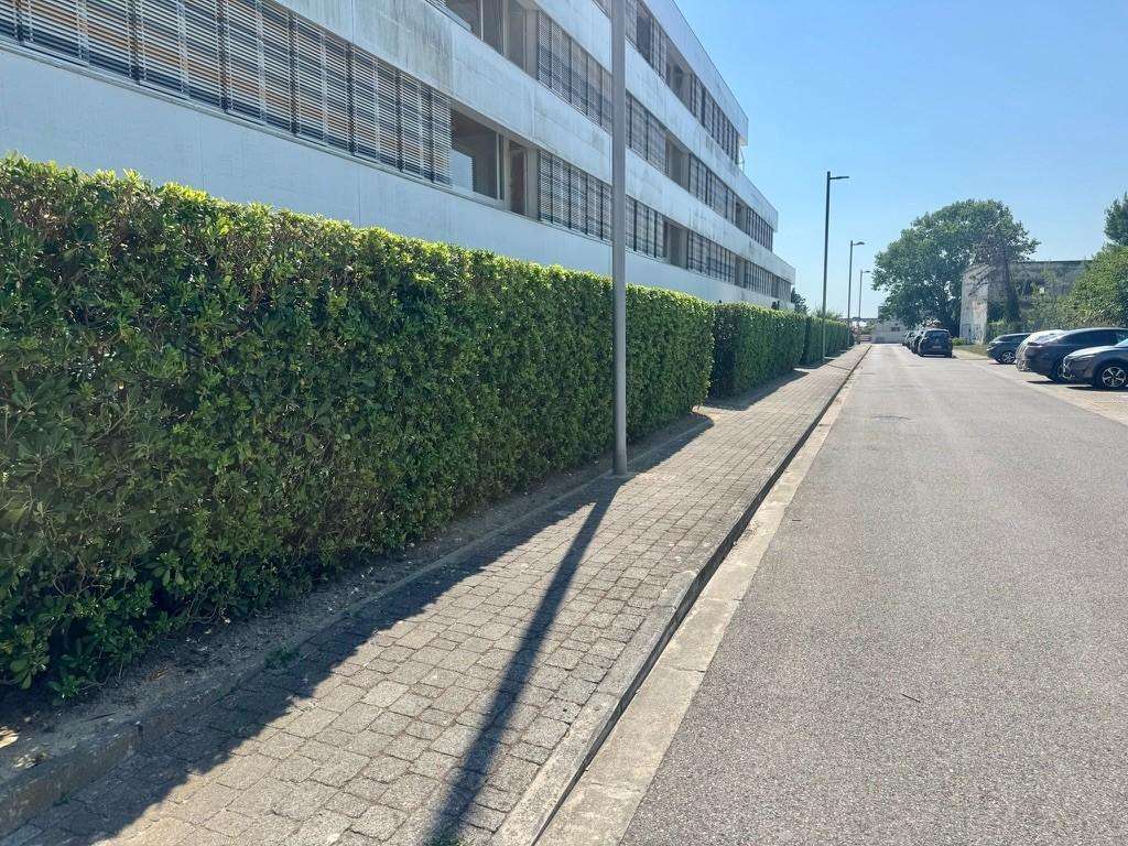  - foto 29
