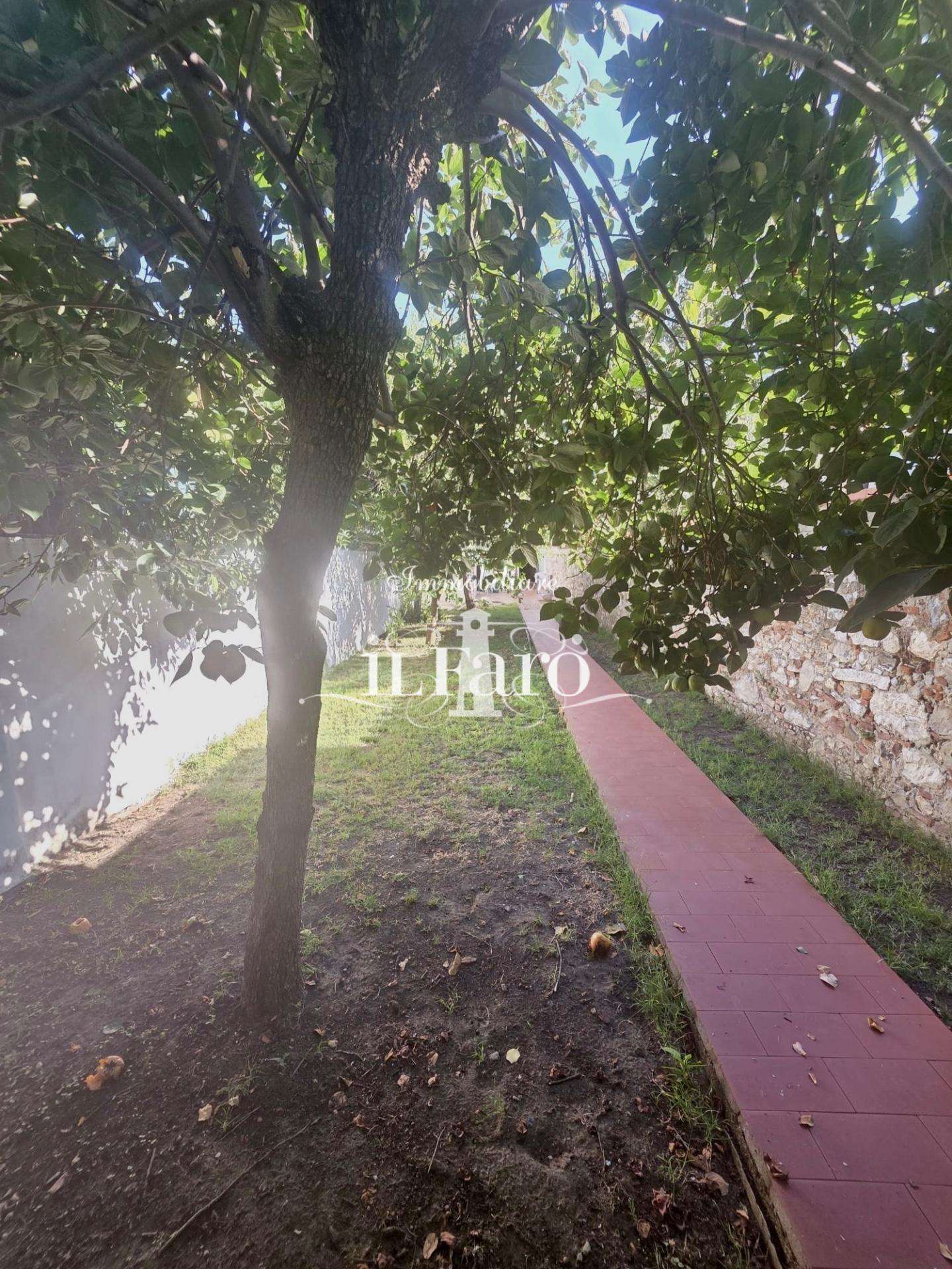  - foto 29