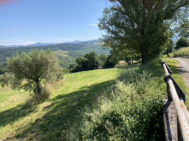  - foto 10