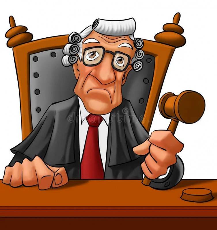  - foto 8