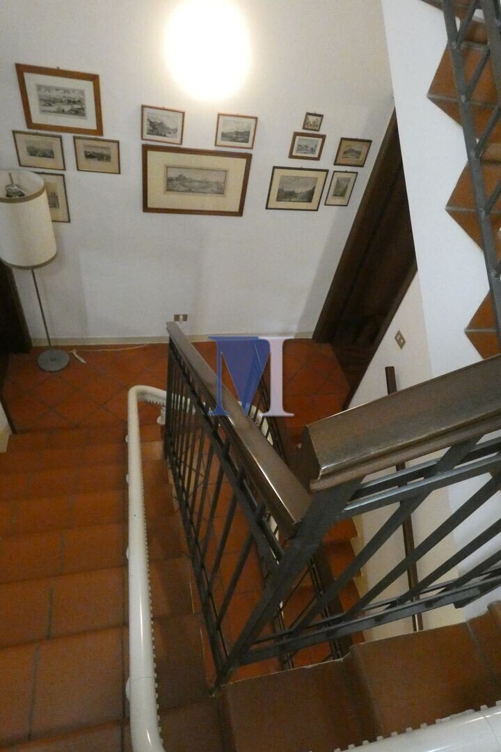  - foto 25