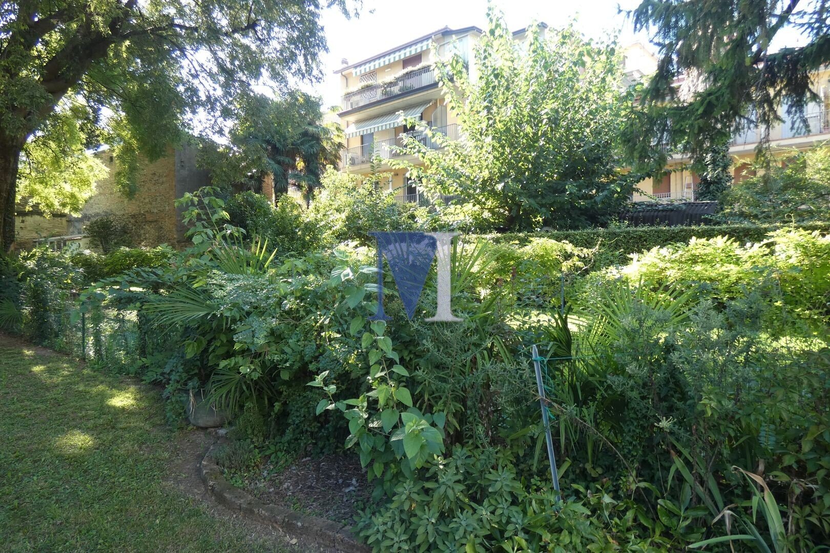  - foto 5