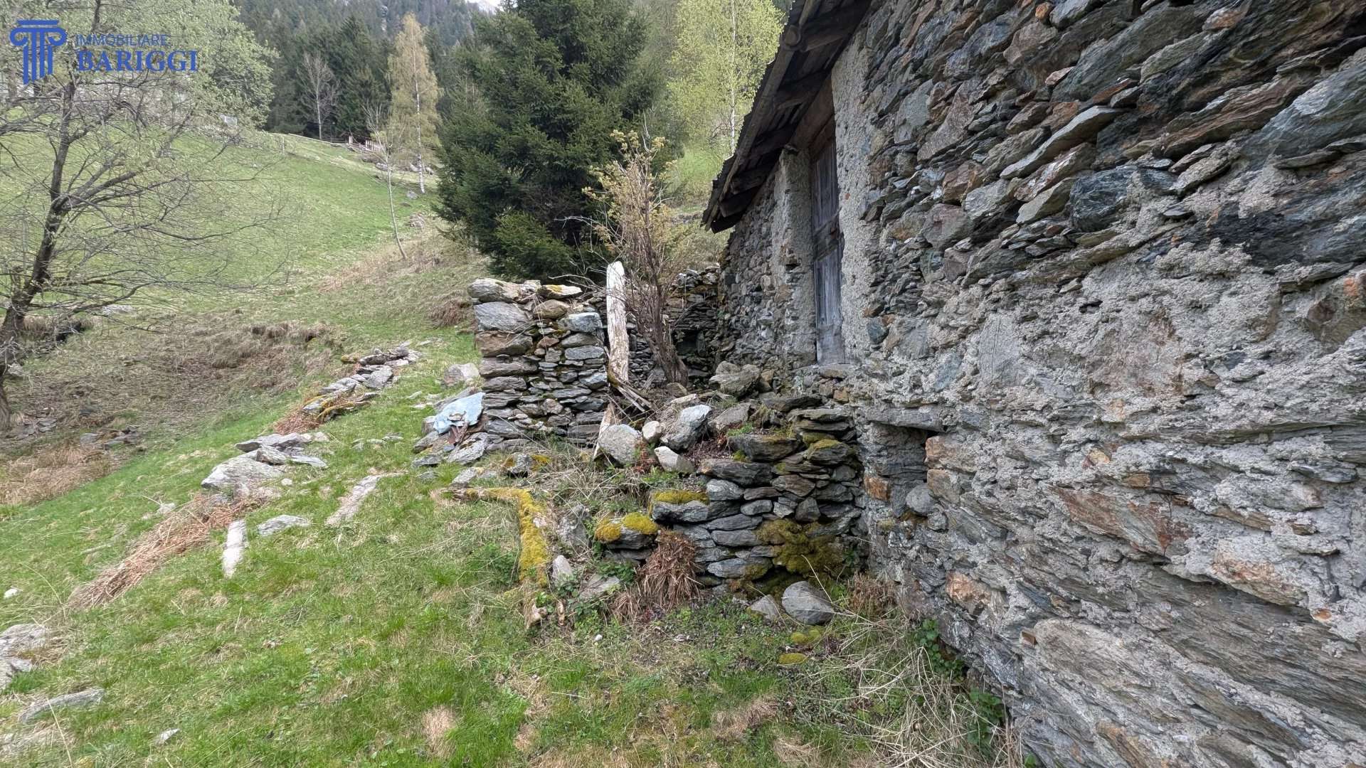  - foto 11
