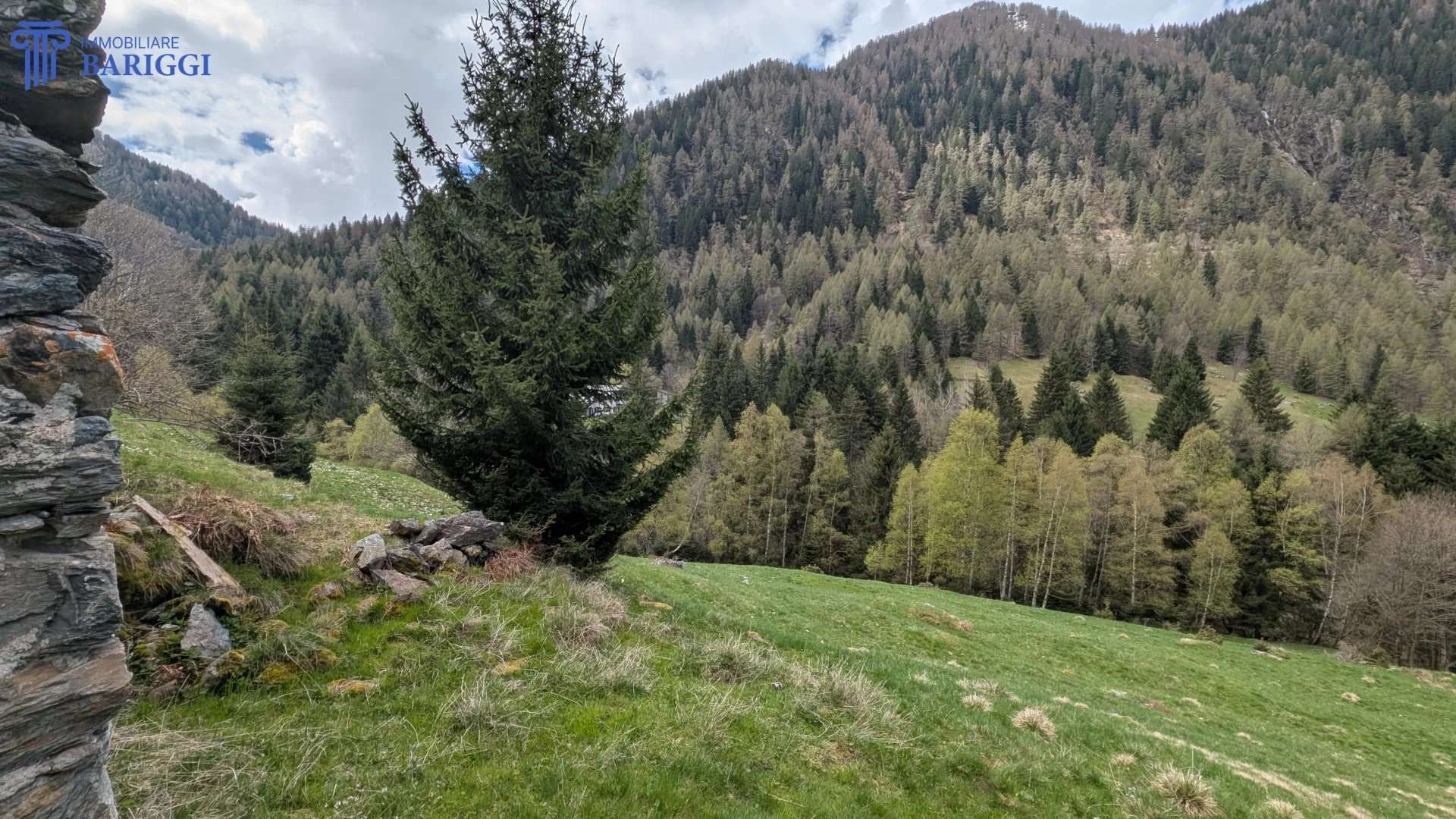  - foto 12