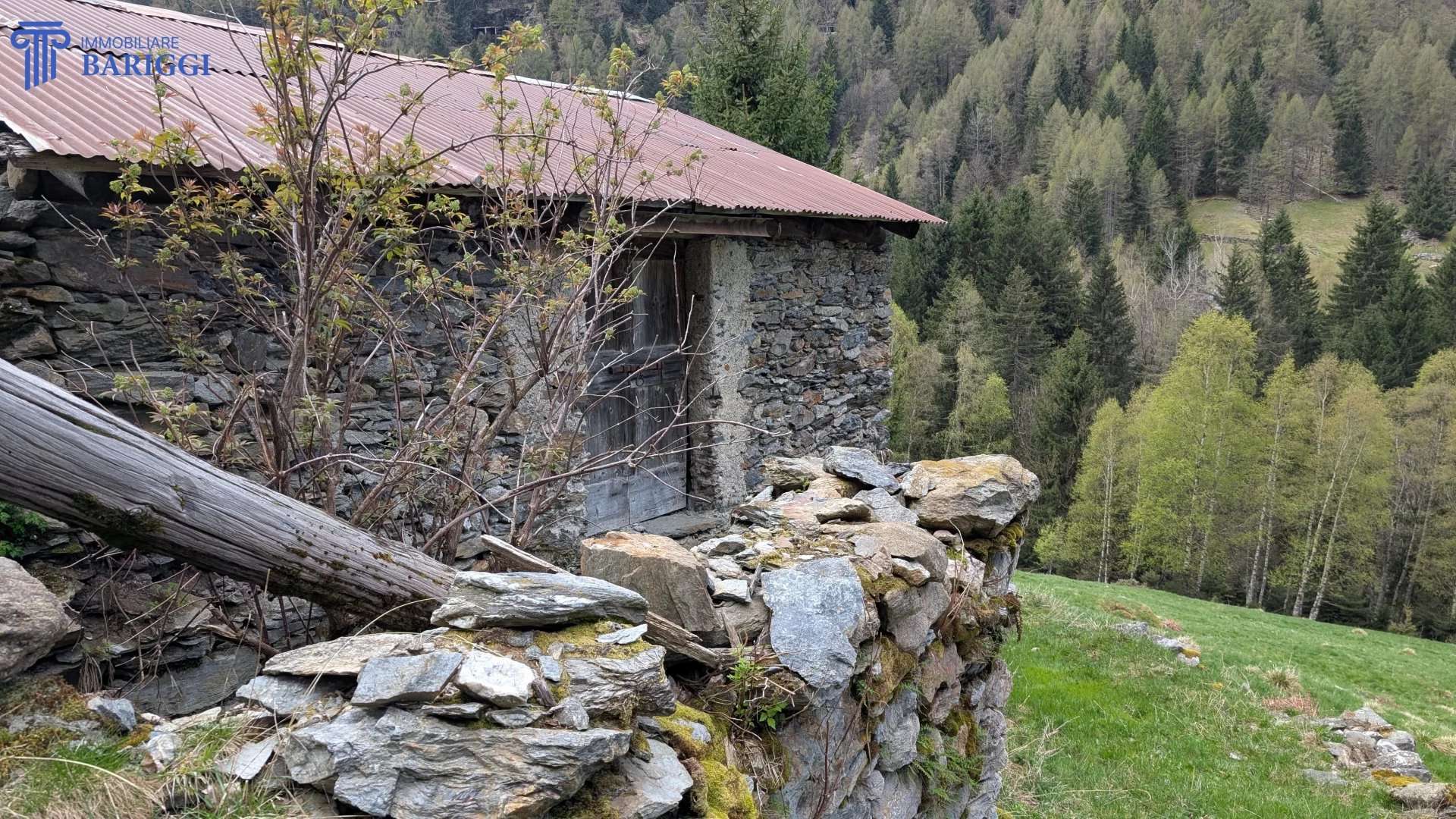  - foto 17