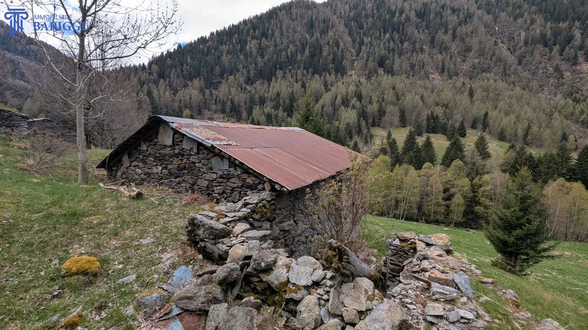  - foto 19