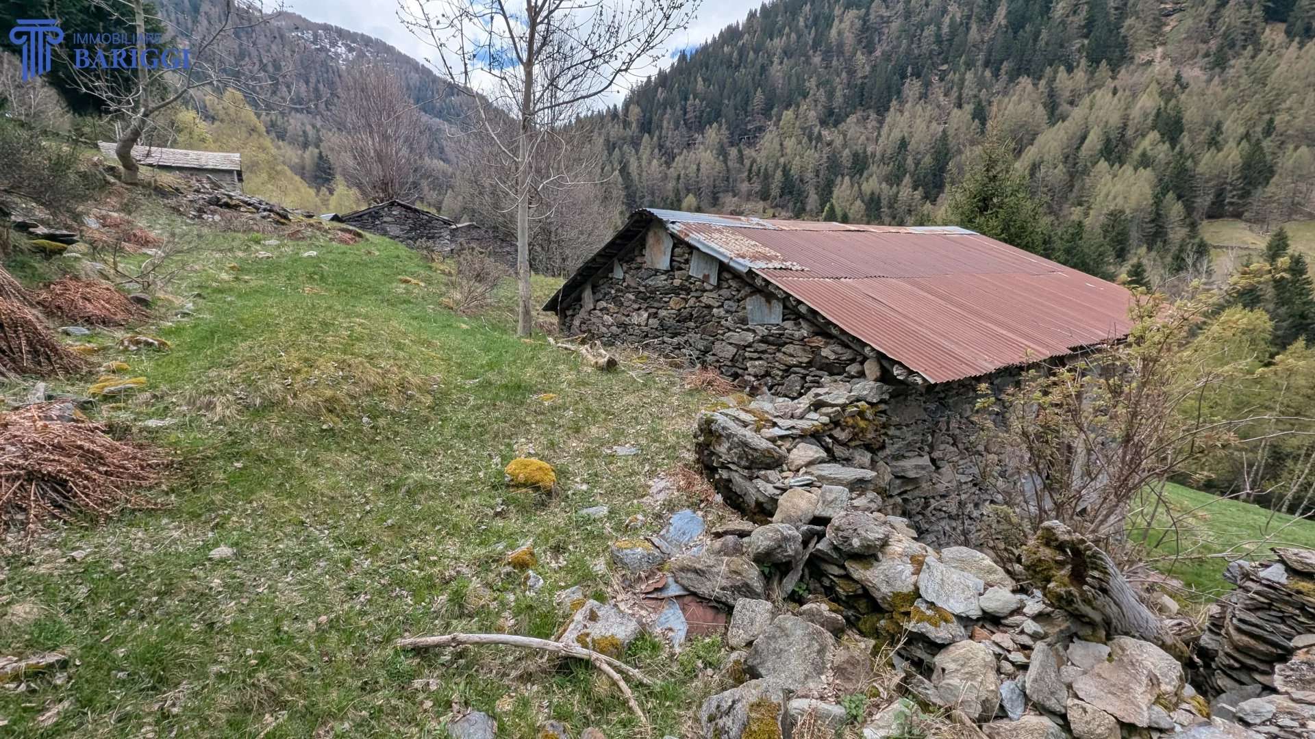  - foto 20