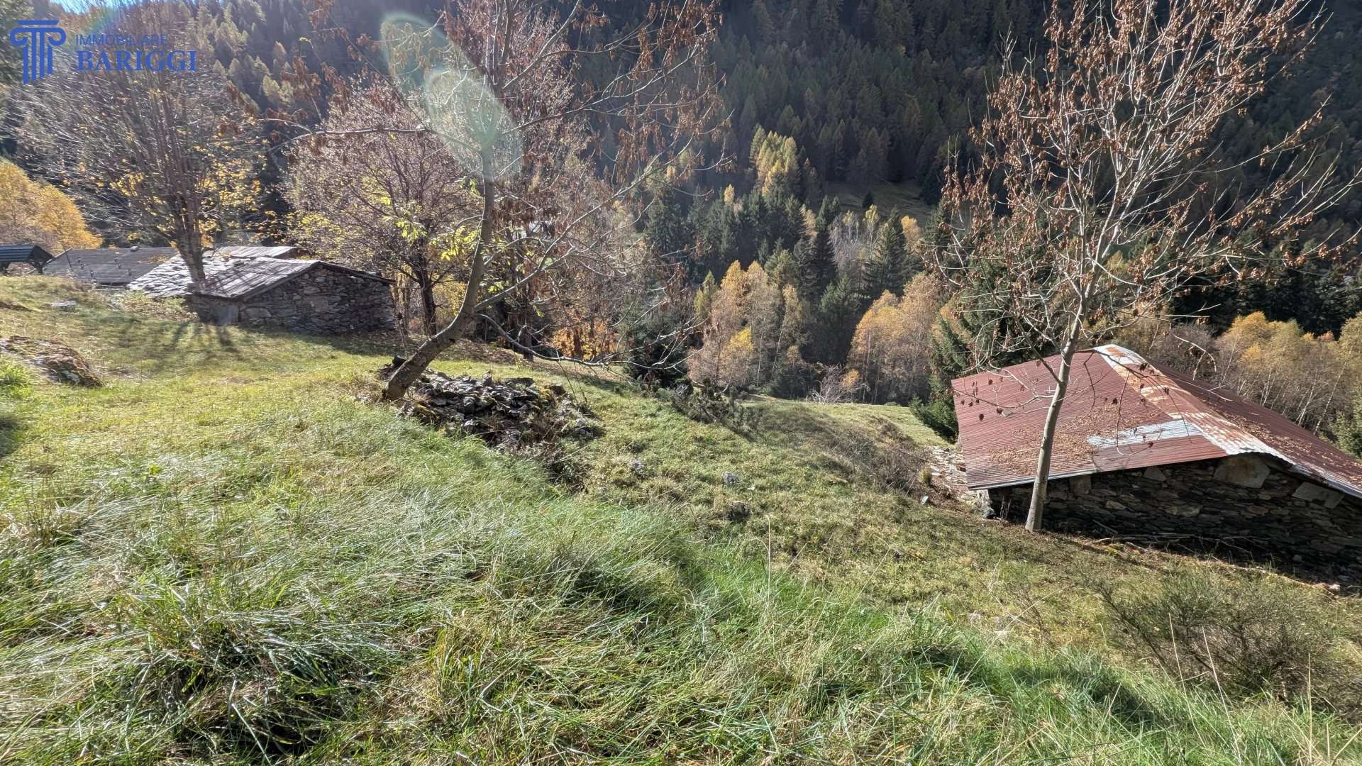  - foto 21