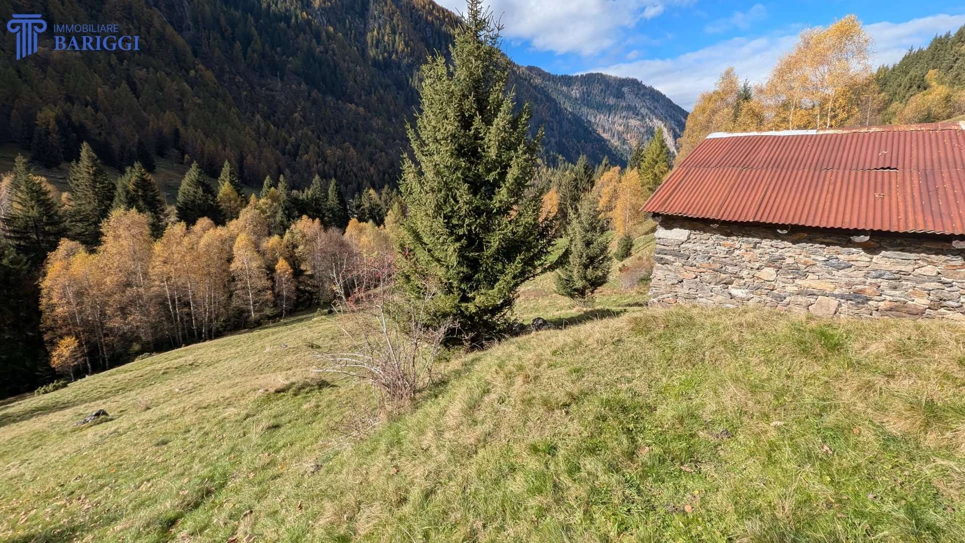  - foto 25