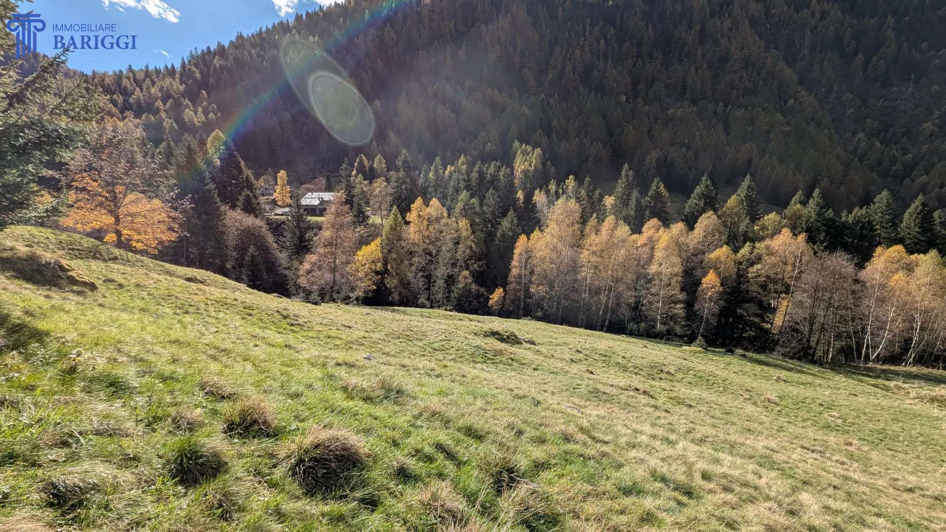  - foto 26