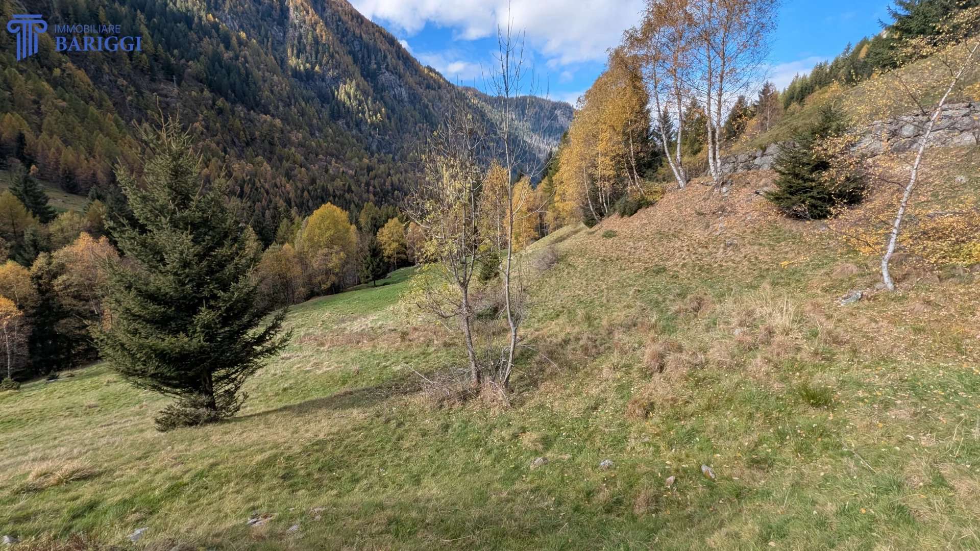  - foto 31