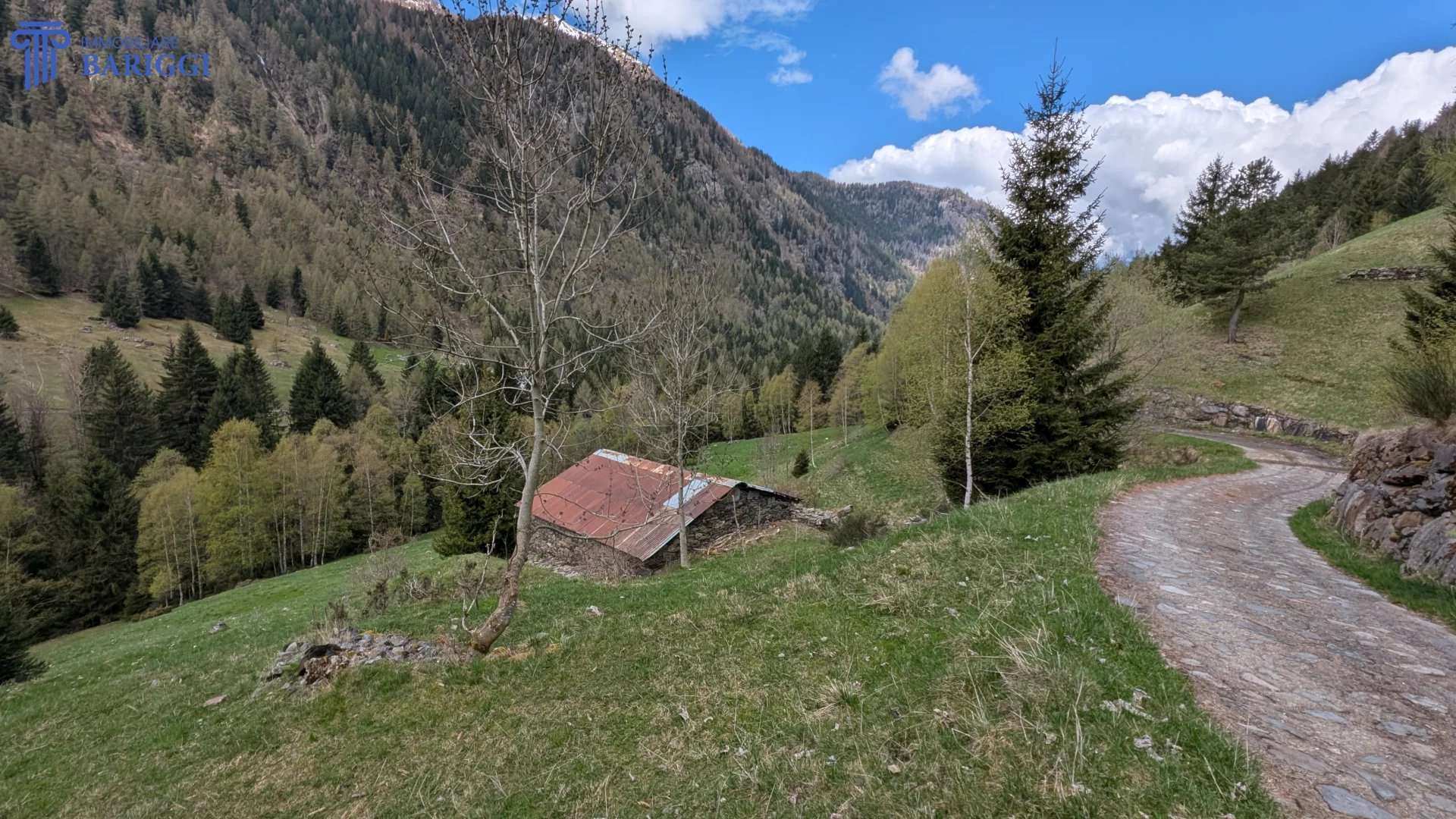  - foto 4