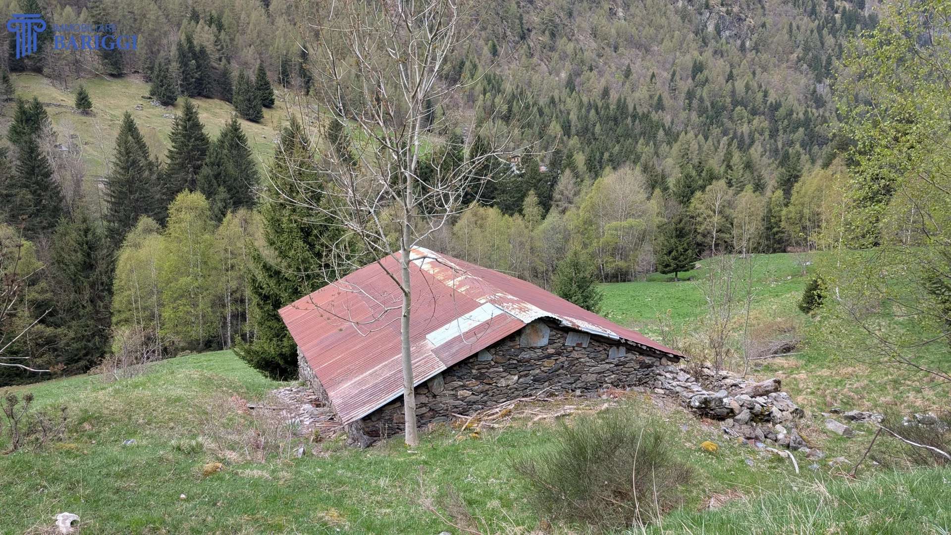  - foto 5