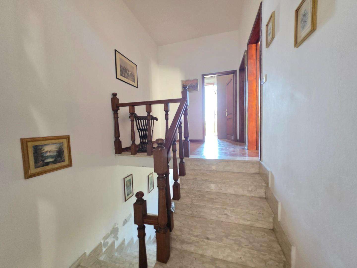  - foto 13