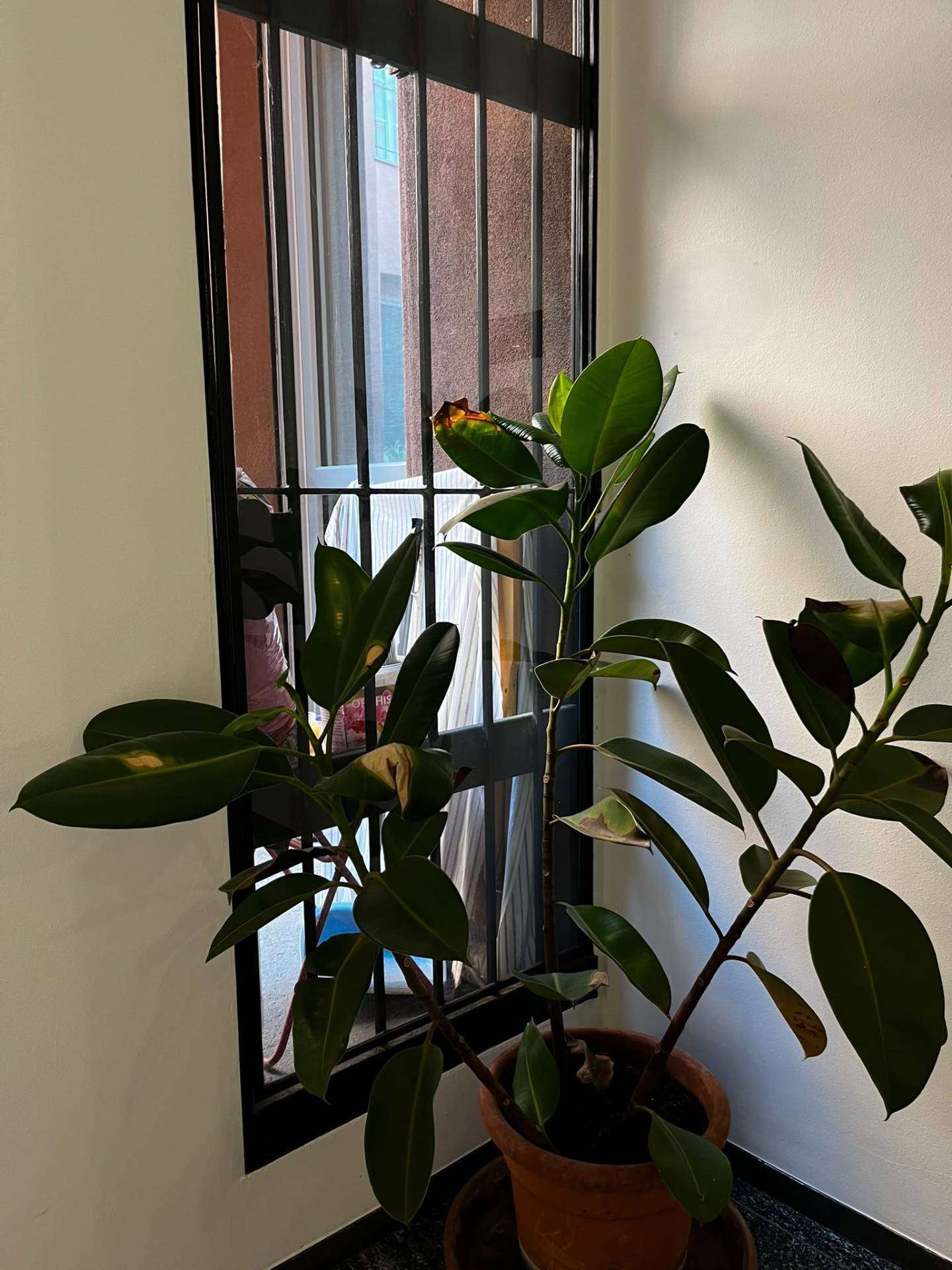  - foto 12