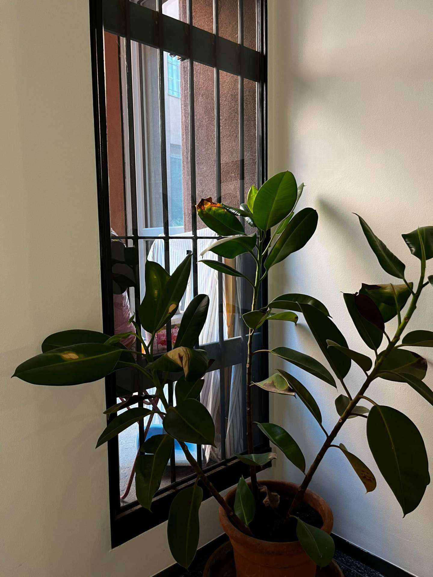  - foto 19