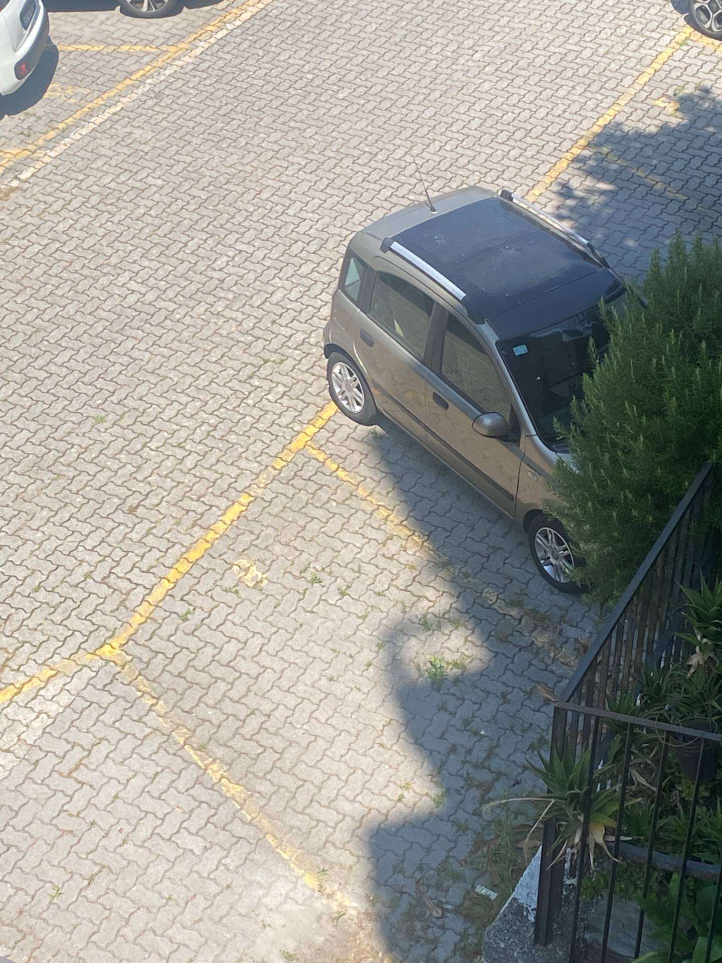  - foto 23