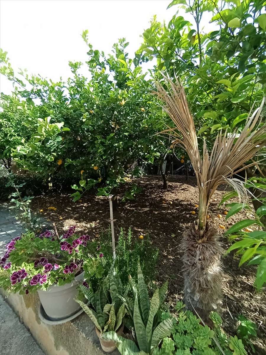  - foto 5