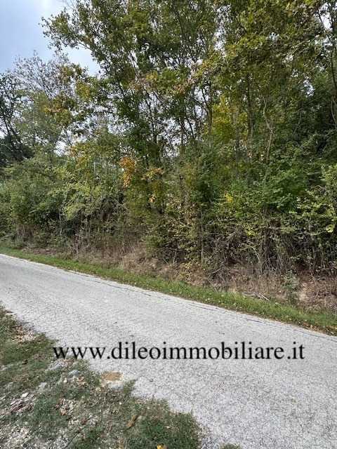  - foto 14