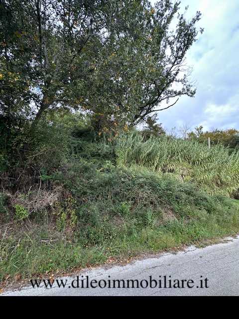  - foto 15