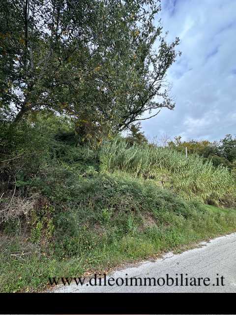  - foto 16