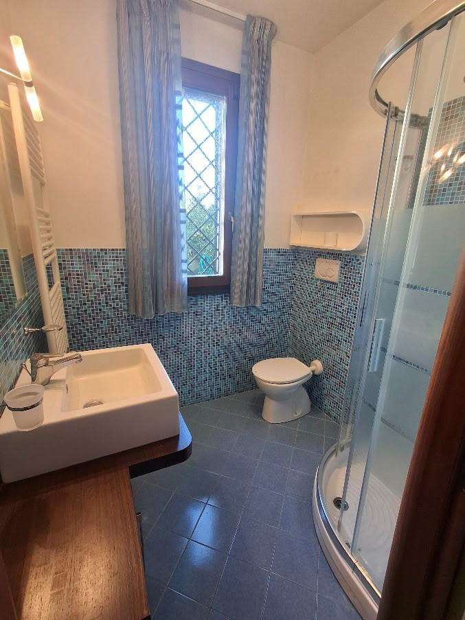  - foto 11