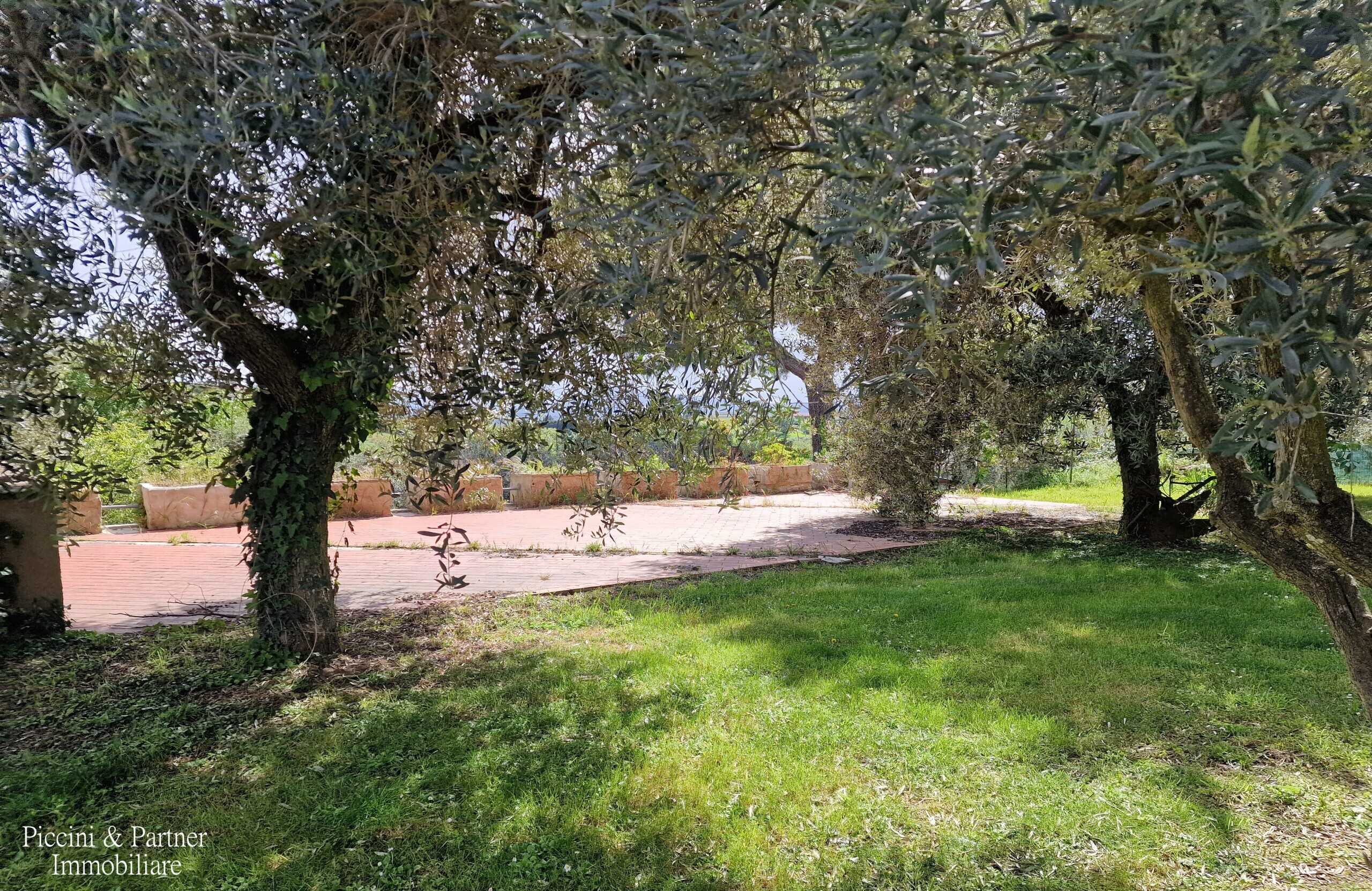  - foto 80