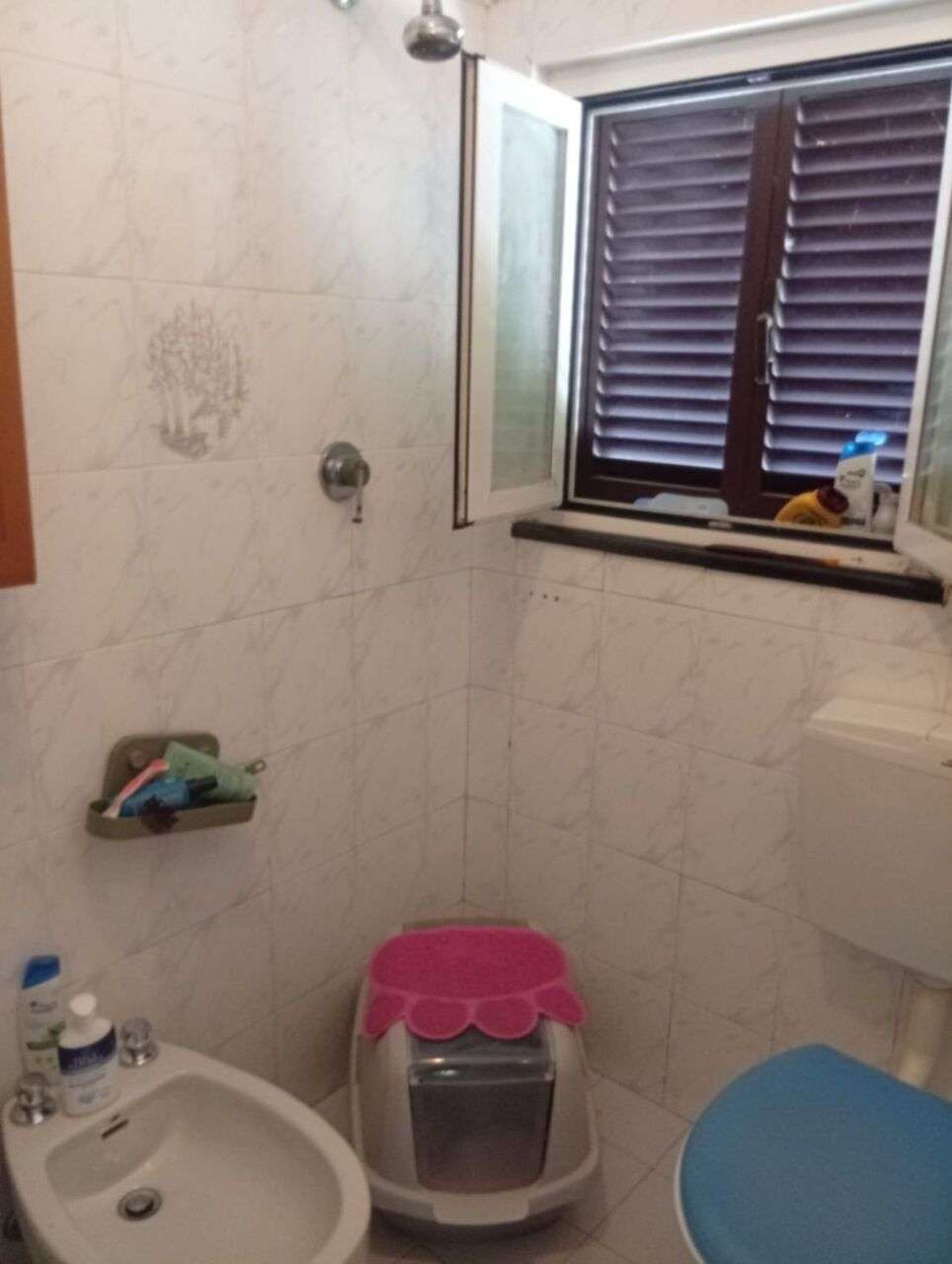  - foto 13