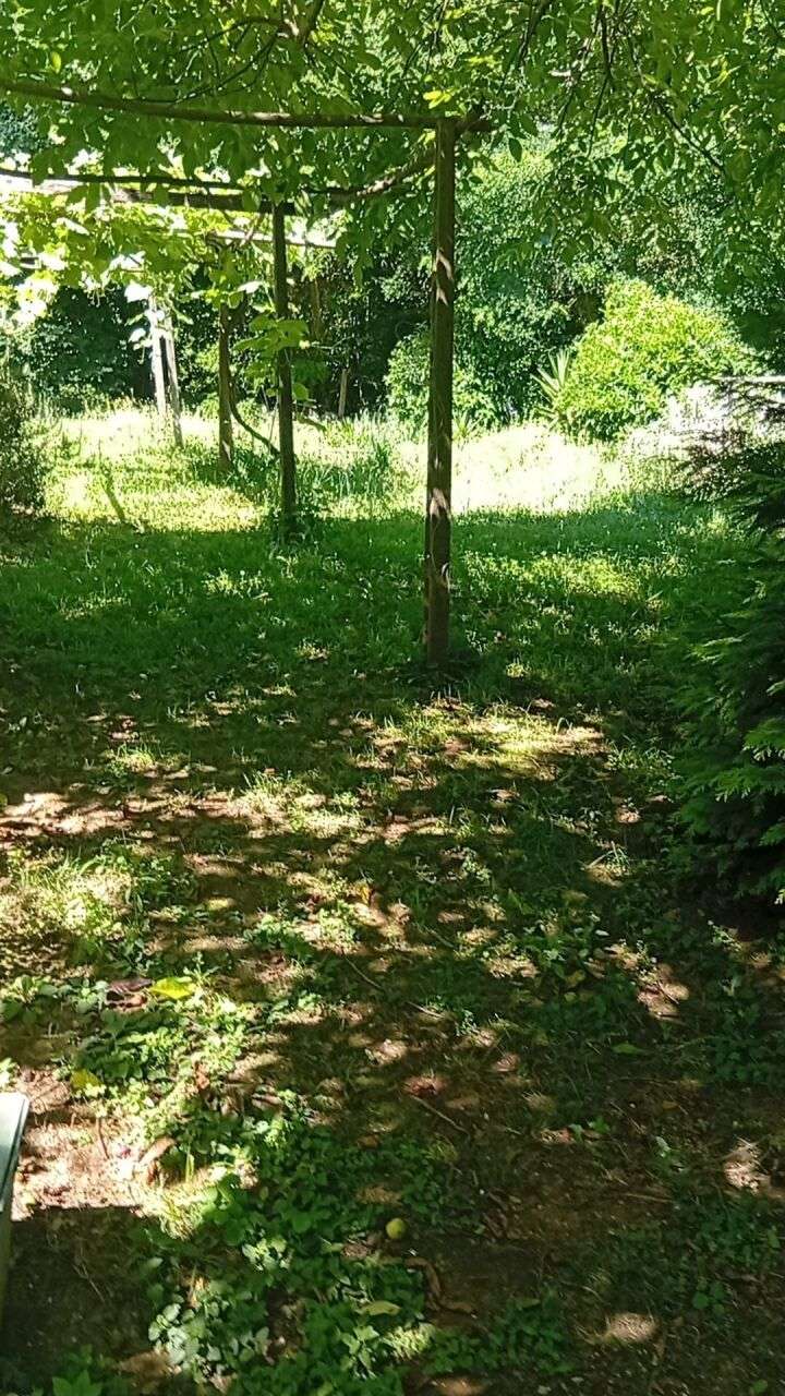  - foto 5