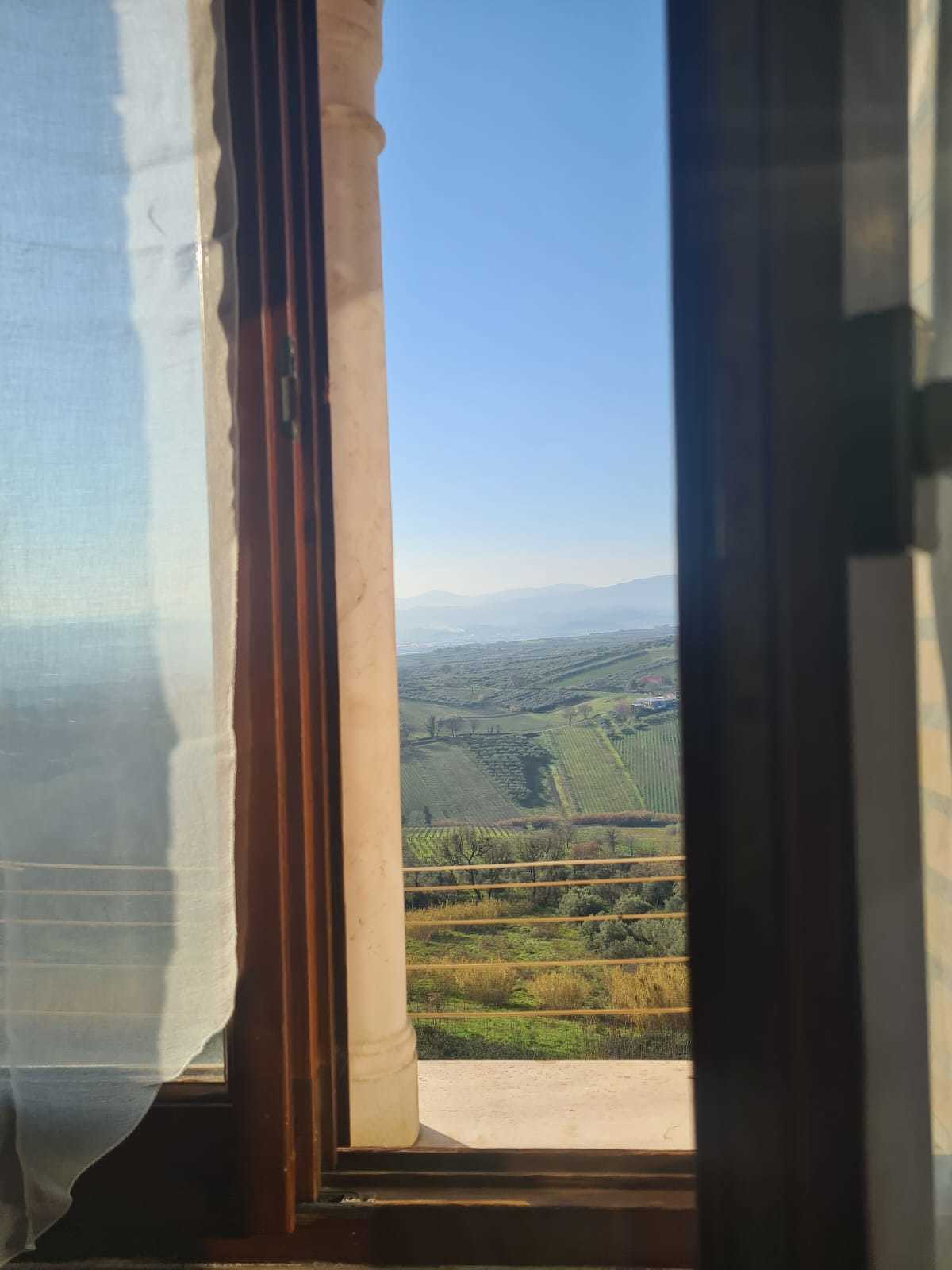  - foto 5