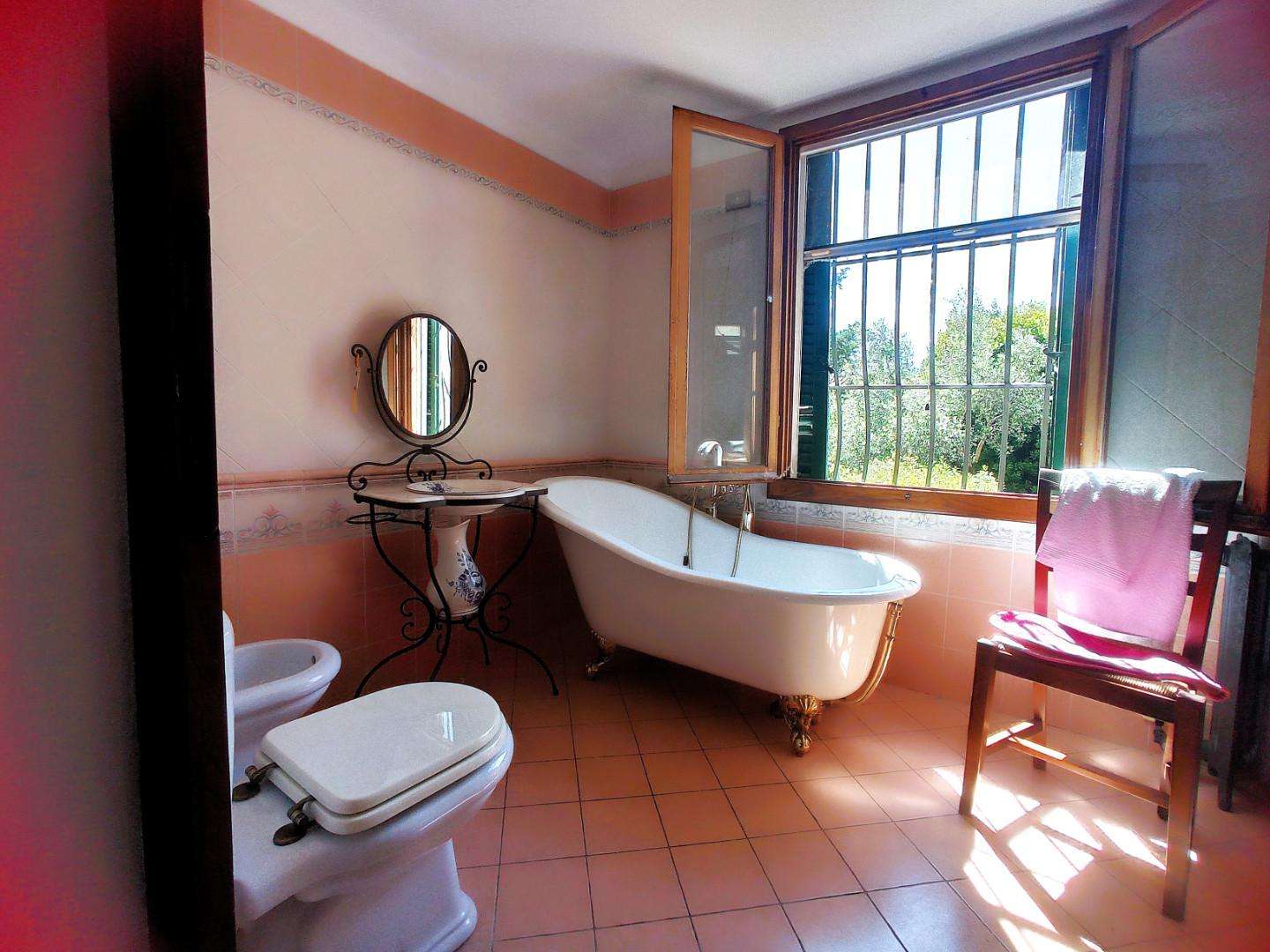  - foto 12