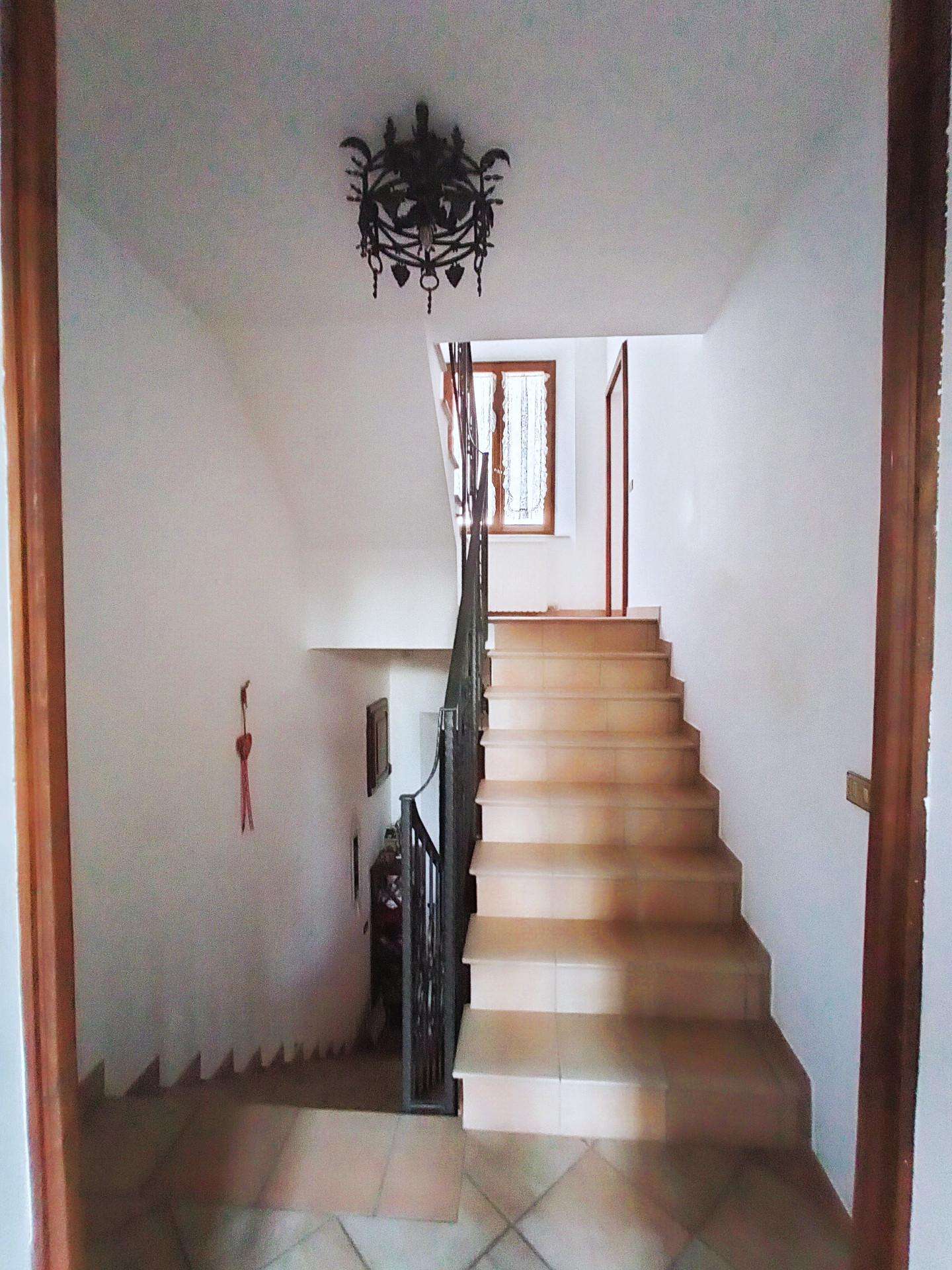  - foto 13