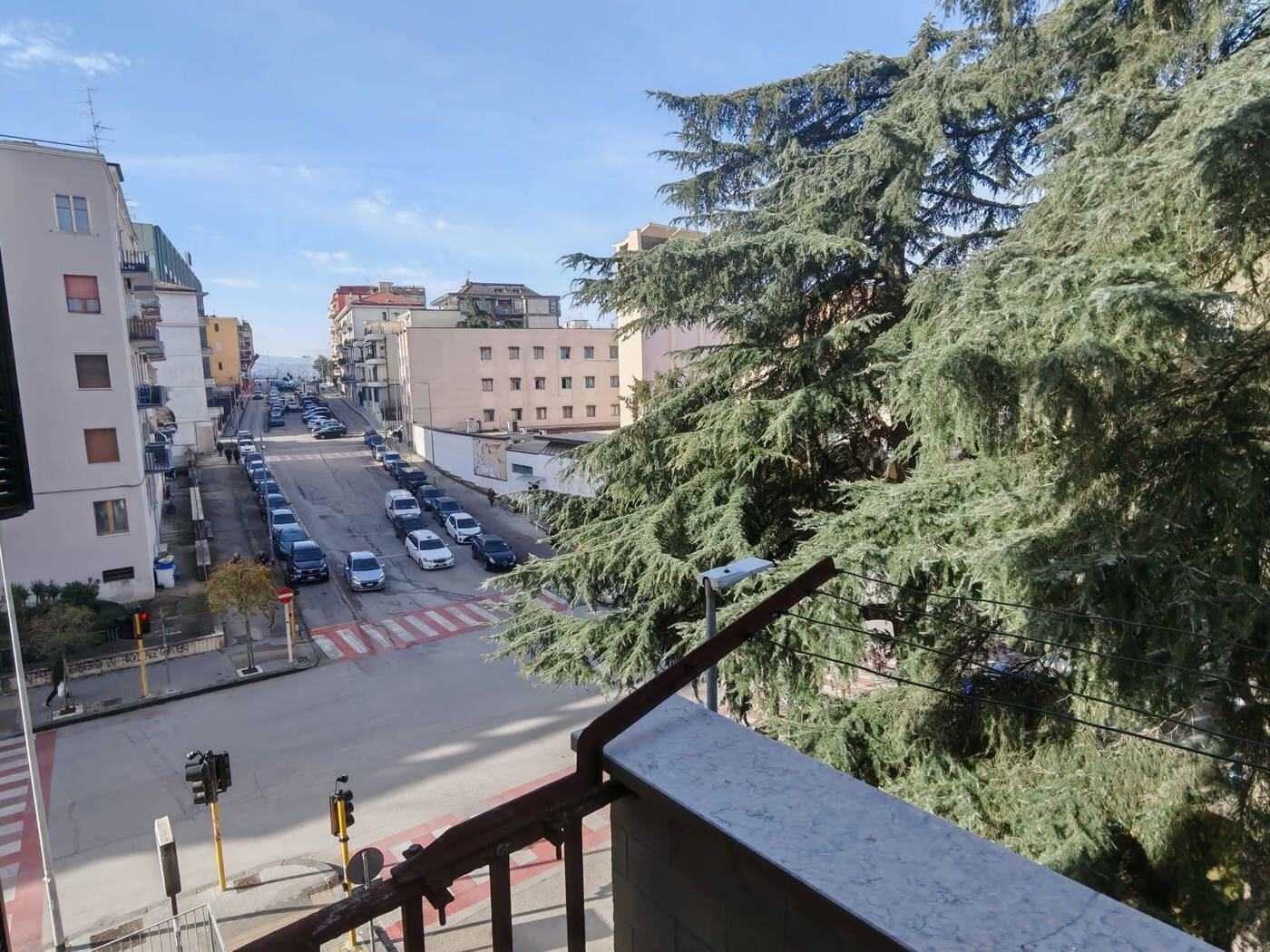  - foto 6