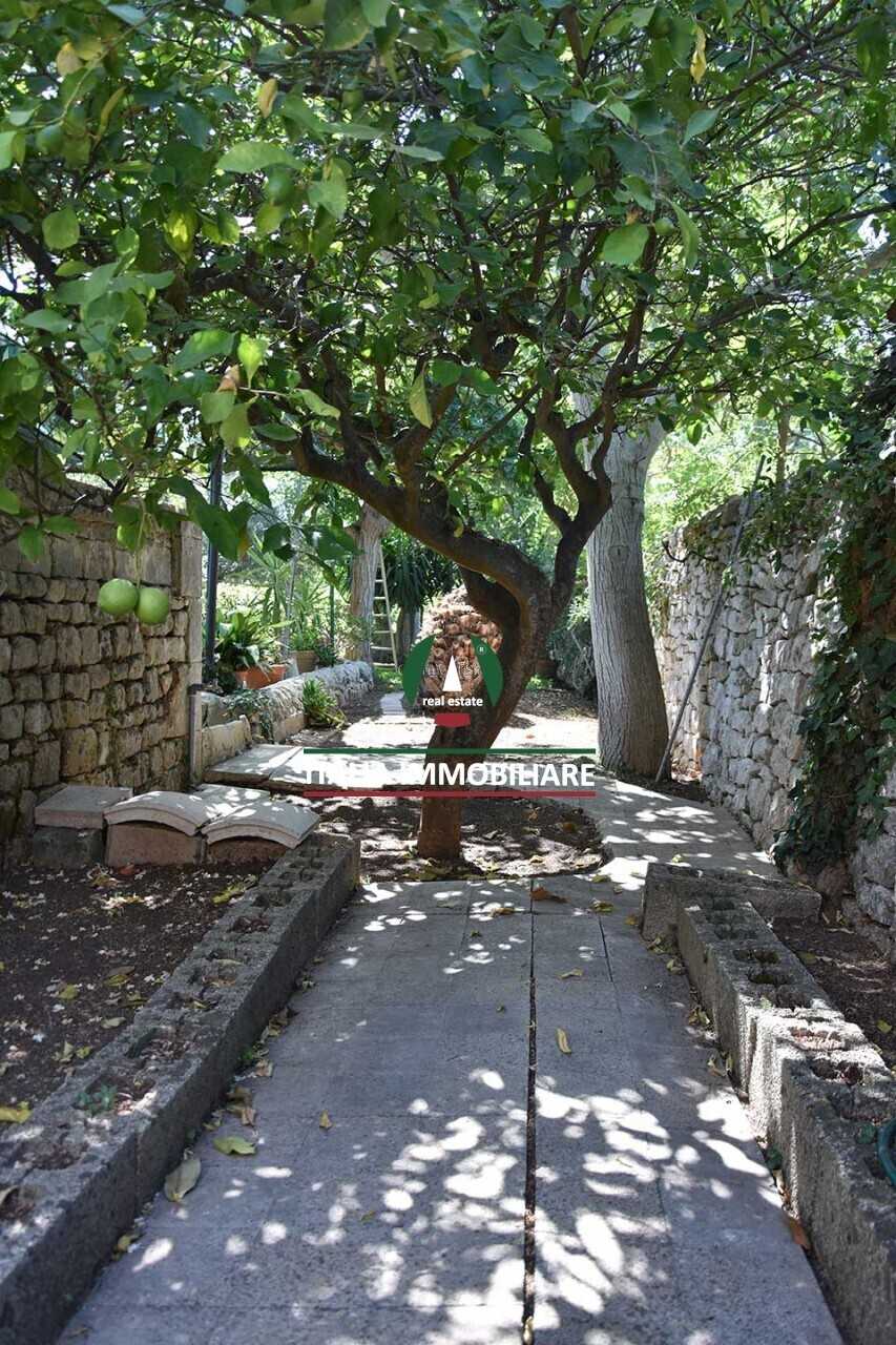  - foto 16