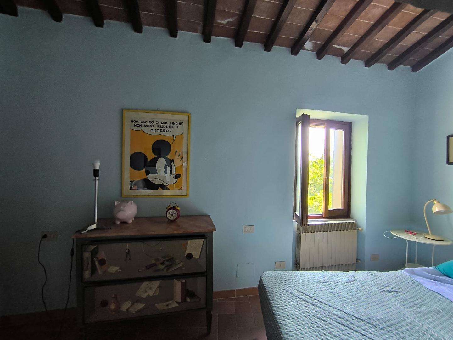  - foto 35