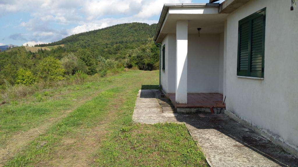  - foto 12