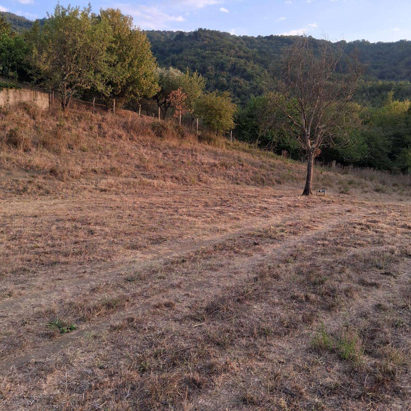  - foto 40