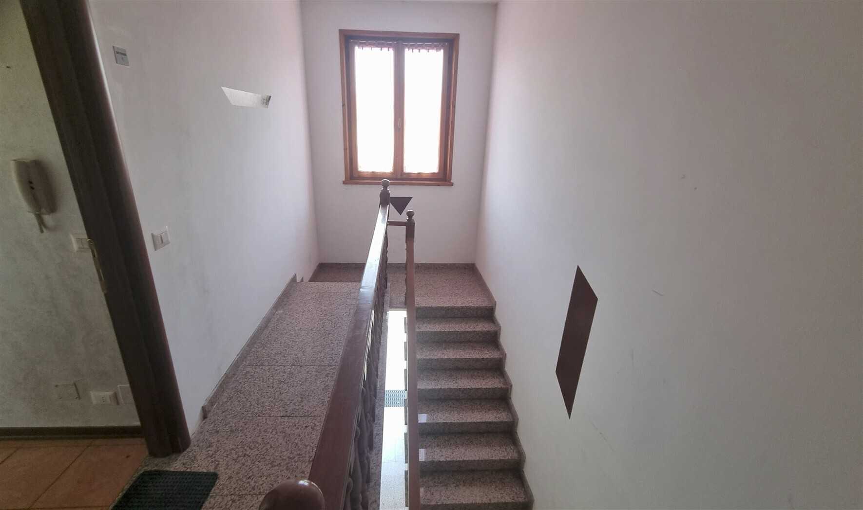  - foto 13
