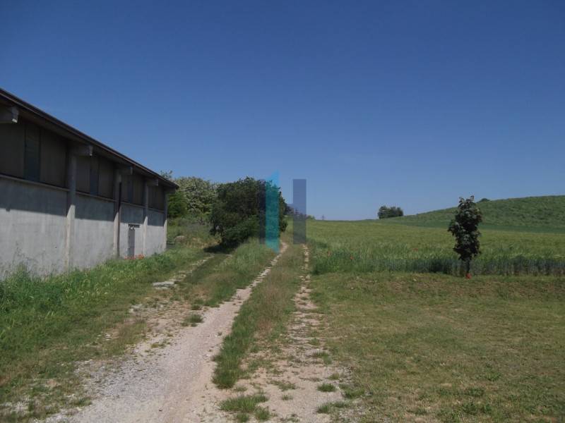  - foto 2