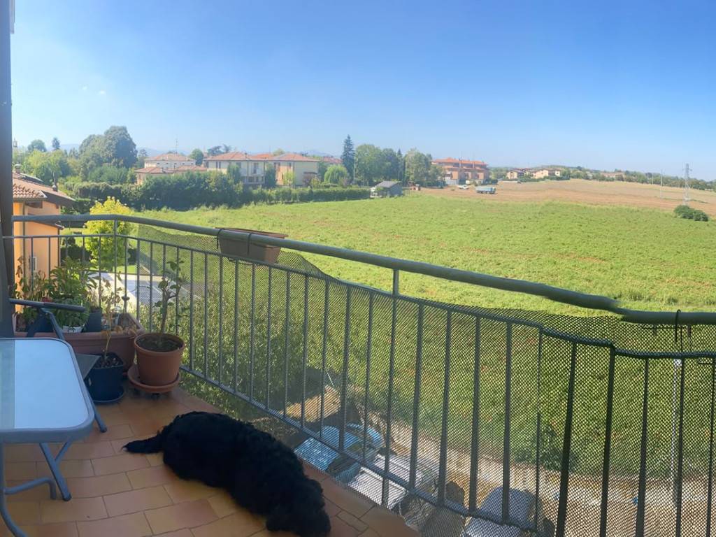 - foto 4