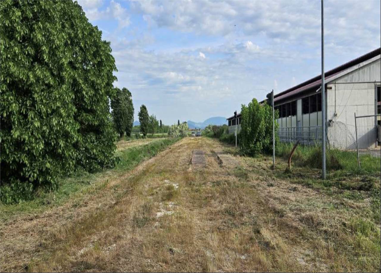  - foto 5