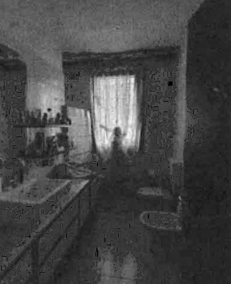  - foto 7